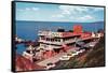 Cliff House-null-Framed Stretched Canvas