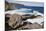 Cliff Line, Cape Du Couedic, Flinders Chase National Park, Kangaroo Island, Australia-Martin Zwick-Mounted Photographic Print