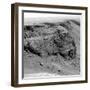 Cliff on the Surface of Mars-Stocktrek Images-Framed Photographic Print