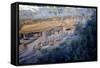 Cliff Palace Ancestral Puebloan Ruins at Mesa Verde National Park, Colorado-Richard Wright-Framed Stretched Canvas