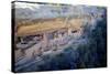 Cliff Palace Ancestral Puebloan Ruins at Mesa Verde National Park, Colorado-Richard Wright-Stretched Canvas