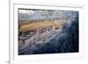 Cliff Palace Ancestral Puebloan Ruins at Mesa Verde National Park, Colorado-Richard Wright-Framed Photographic Print