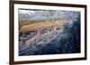 Cliff Palace Ancestral Puebloan Ruins at Mesa Verde National Park, Colorado-Richard Wright-Framed Photographic Print