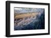 Cliff Palace Ancestral Puebloan Ruins at Mesa Verde National Park, Colorado-Richard Wright-Framed Photographic Print