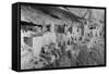 Cliff Palace at Mesa Verde-W.R. Chapline-Framed Stretched Canvas