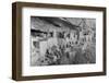 Cliff Palace at Mesa Verde-W.R. Chapline-Framed Photographic Print