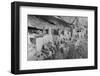 Cliff Palace at Mesa Verde-W.R. Chapline-Framed Photographic Print