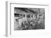 Cliff Palace at Mesa Verde-W.R. Chapline-Framed Photographic Print