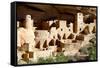 Cliff Palace at Mesa Verde-Douglas Taylor-Framed Stretched Canvas