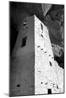 Cliff Palace Detail I BW-Douglas Taylor-Mounted Photographic Print