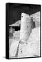 Cliff Palace Detail II BW-Douglas Taylor-Framed Stretched Canvas