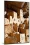 Cliff Palace Detail IV-Douglas Taylor-Mounted Photographic Print