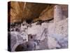 Cliff Palace Dwelling, Mesa Verde National Park, Colorado, USA-Rolf Nussbaumer-Stretched Canvas