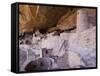 Cliff Palace Dwelling, Mesa Verde National Park, Colorado, USA-Rolf Nussbaumer-Framed Stretched Canvas