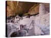 Cliff Palace Dwelling, Mesa Verde National Park, Colorado, USA-Rolf Nussbaumer-Stretched Canvas