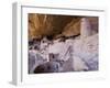 Cliff Palace Dwelling, Mesa Verde National Park, Colorado, USA-Rolf Nussbaumer-Framed Photographic Print