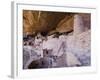 Cliff Palace Dwelling, Mesa Verde National Park, Colorado, USA-Rolf Nussbaumer-Framed Photographic Print