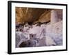 Cliff Palace Dwelling, Mesa Verde National Park, Colorado, USA-Rolf Nussbaumer-Framed Photographic Print