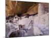 Cliff Palace Dwelling, Mesa Verde National Park, Colorado, USA-Rolf Nussbaumer-Mounted Photographic Print