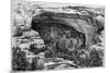 Cliff Palace in Cliff Palace Canyon, Southwest Colorado, USA, 1901-null-Mounted Giclee Print
