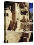 Cliff Palace, Mesa Verde, Anasazi Culture, Colorado, USA-Walter Rawlings-Stretched Canvas