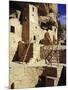 Cliff Palace, Mesa Verde, Anasazi Culture, Colorado, USA-Walter Rawlings-Mounted Photographic Print