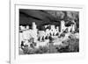 Cliff Palace Pueblo BW-Douglas Taylor-Framed Photographic Print