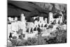 Cliff Palace Pueblo BW-Douglas Taylor-Mounted Photographic Print