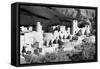 Cliff Palace Pueblo BW-Douglas Taylor-Framed Stretched Canvas