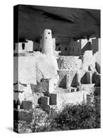 Cliff Palace Pueblo Portrait BW-Douglas Taylor-Stretched Canvas