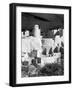 Cliff Palace Pueblo Portrait BW-Douglas Taylor-Framed Photographic Print