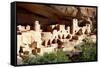 Cliff Palace Pueblo-Douglas Taylor-Framed Stretched Canvas