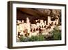 Cliff Palace Pueblo-Douglas Taylor-Framed Photographic Print