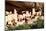 Cliff Palace Pueblo-Douglas Taylor-Mounted Photographic Print