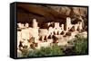 Cliff Palace Pueblo-Douglas Taylor-Framed Stretched Canvas