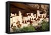 Cliff Palace Pueblo-Douglas Taylor-Framed Stretched Canvas