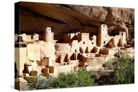 Cliff Palace Pueblo-Douglas Taylor-Stretched Canvas