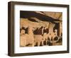 Cliff Palace Ruin in Mesa Verde National Park, Colorado-Greg Probst-Framed Photographic Print