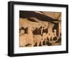 Cliff Palace Ruin in Mesa Verde National Park, Colorado-Greg Probst-Framed Photographic Print