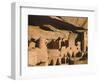 Cliff Palace Ruin in Mesa Verde National Park, Colorado-Greg Probst-Framed Photographic Print