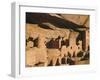 Cliff Palace Ruin in Mesa Verde National Park, Colorado-Greg Probst-Framed Photographic Print