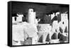 Cliff Palace Ruins BW-Douglas Taylor-Framed Stretched Canvas