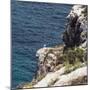 cliff Punta Prima Formentera,-Nadja Jacke-Mounted Photographic Print