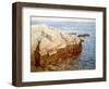 Cliff Rock Appledore (Isles of Shoals, Maine)-Childe Hassam-Framed Giclee Print