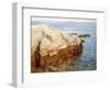 Cliff Rock Appledore (Isles of Shoals, Maine)-Childe Hassam-Framed Giclee Print