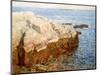 Cliff Rock Appledore (Isles of Shoals, Maine)-Childe Hassam-Mounted Giclee Print