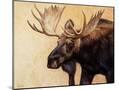 Wood Mount