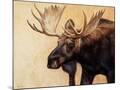 Wood Mount