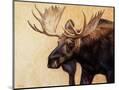 Wood Mount