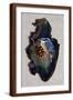 Brown Frame